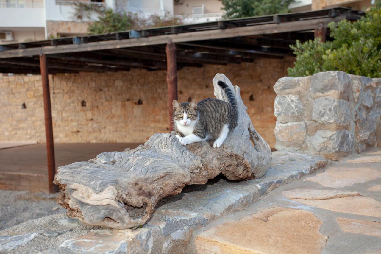 Hill Of Calm Hotel Triopetra Luaran gambar